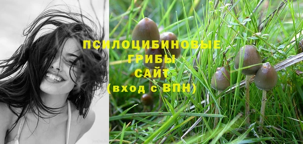 ALPHA PVP Дмитровск