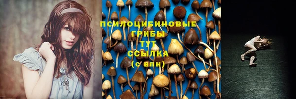 ALPHA PVP Дмитровск