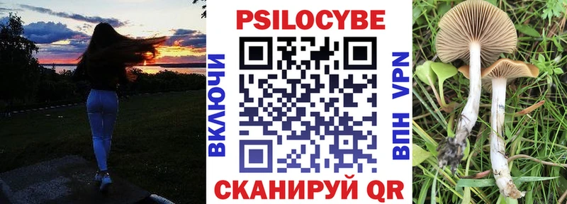 Псилоцибиновые грибы мухоморы Купить закладки Сенгилей